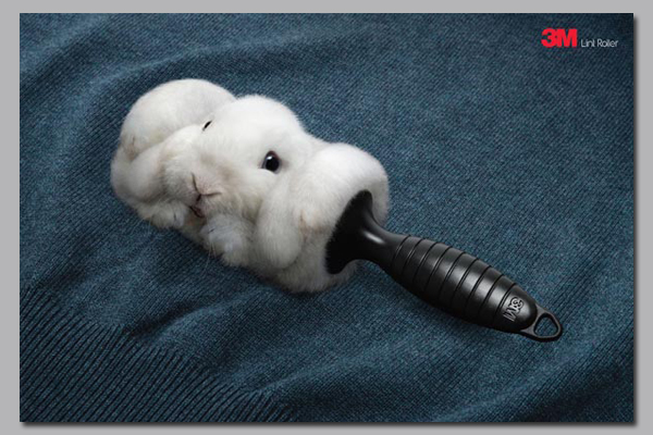 活靈活現(xiàn)的小動物廣告拍攝，使人對其產(chǎn)生愛惜這意
